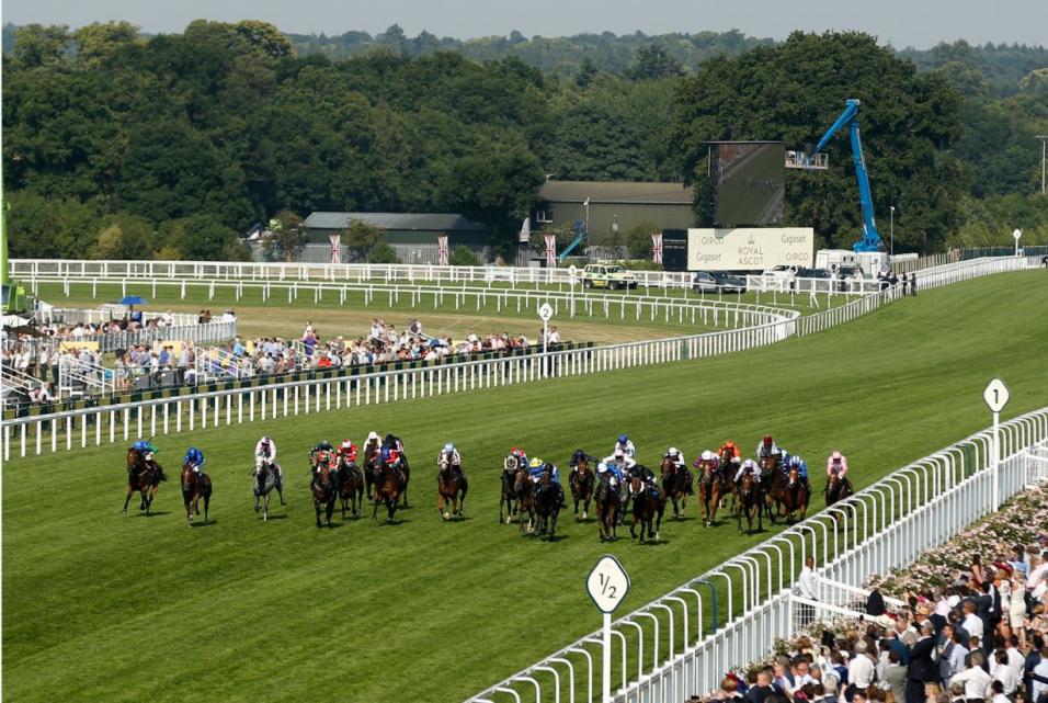 There is high-class Flat racing from Royal Ascot on Friday